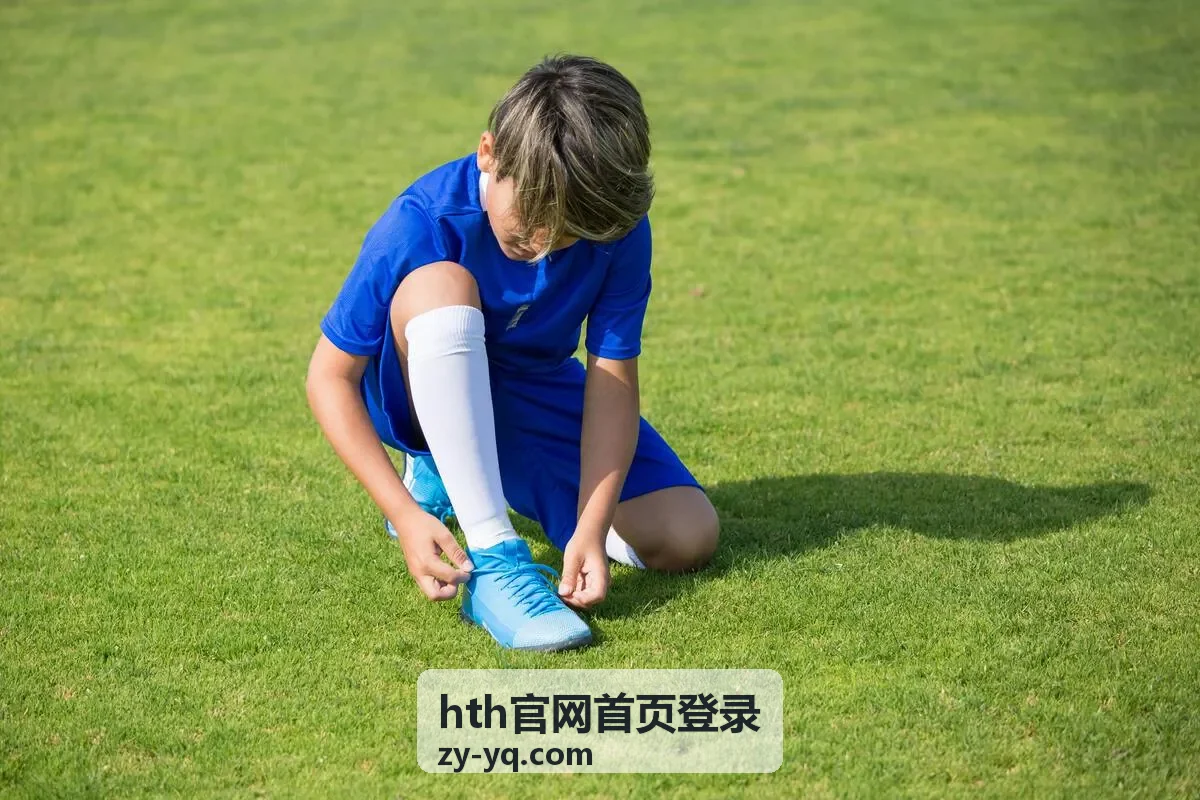 hth官网首页登录 会员等级权益对照封面
