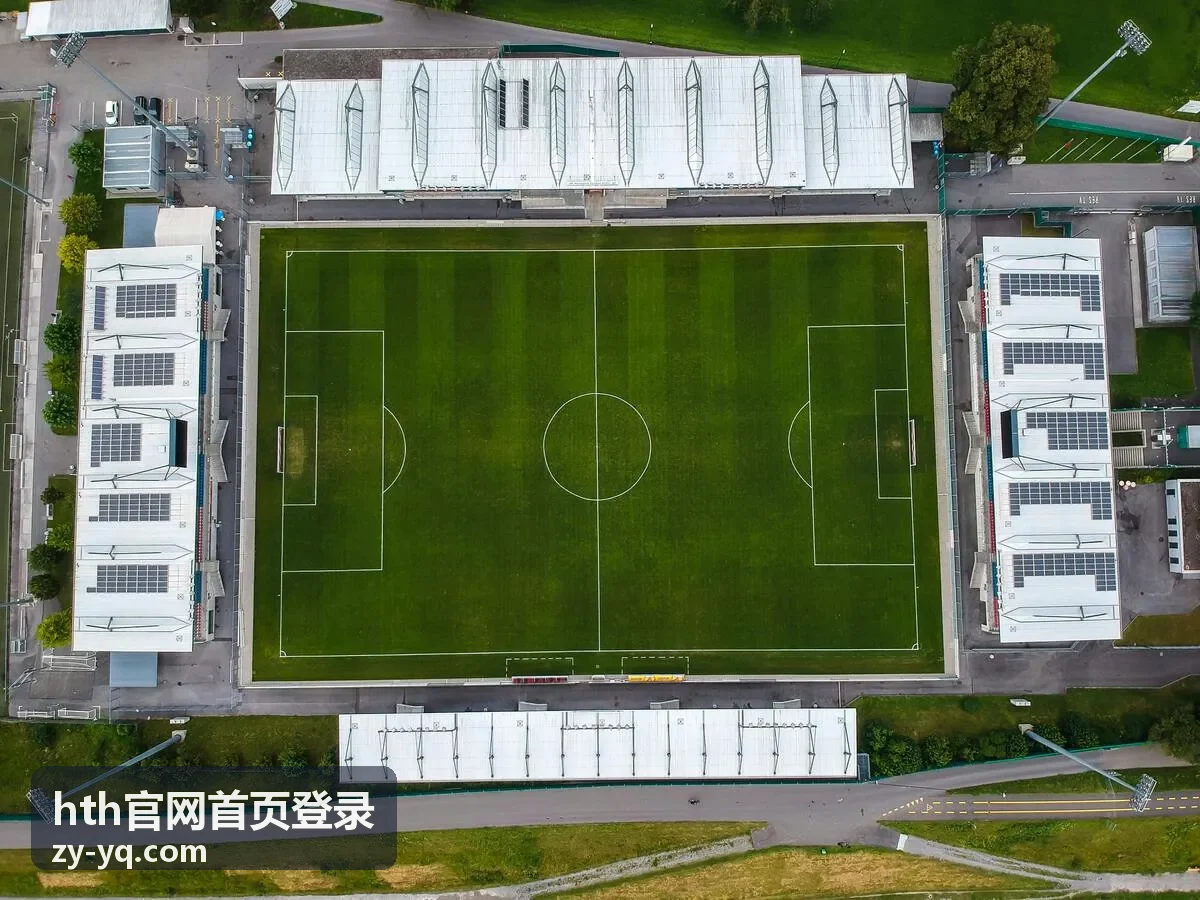 hth官网首页登录 账户安全排查清单封面